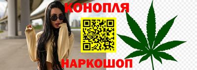 сатива Владикавказ