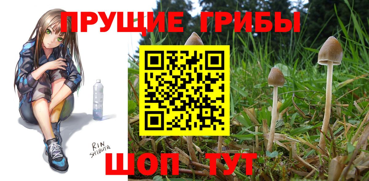Галлюциногенные грибы GOLDEN TEACHER  Вход с VPN  Назарово 